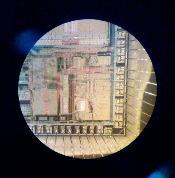 Кристалл микроконтроллера MSP430, фото получено с помощью микроскопа УИМ-23