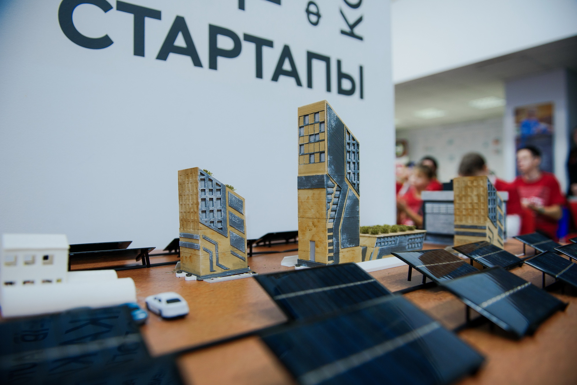 фотография: Д. Фоменков