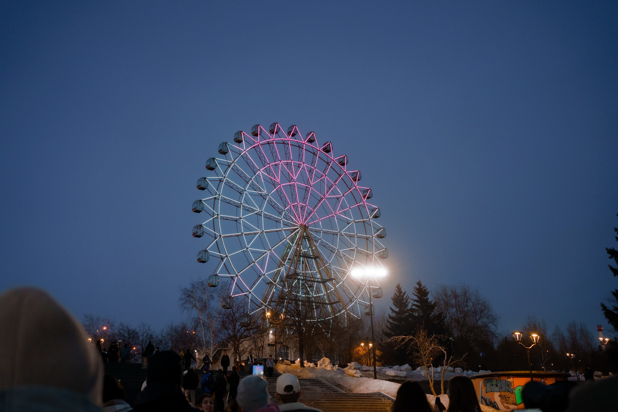 фотография: Д. Фоменков 