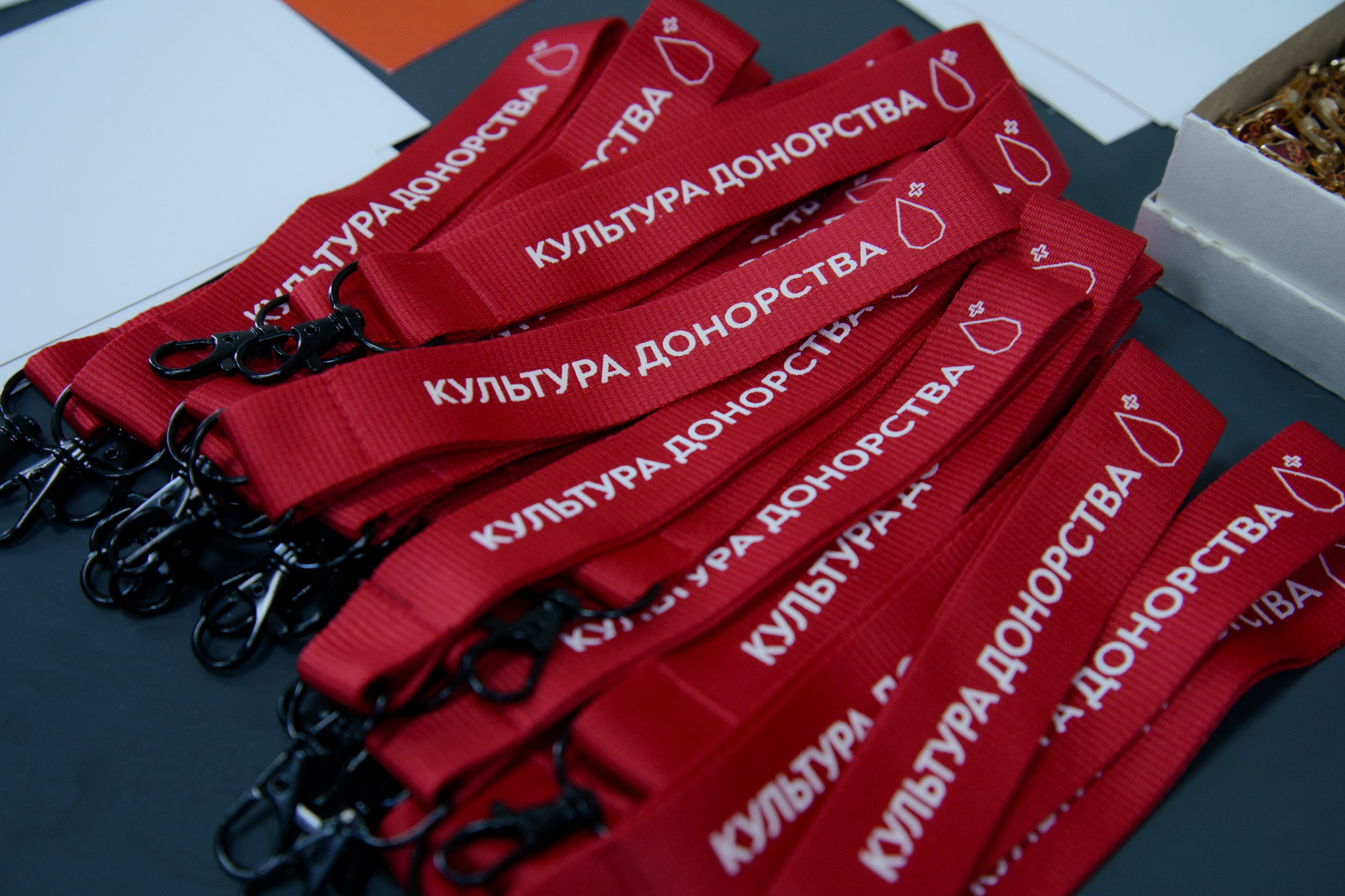 фотография: Д. Фоменков