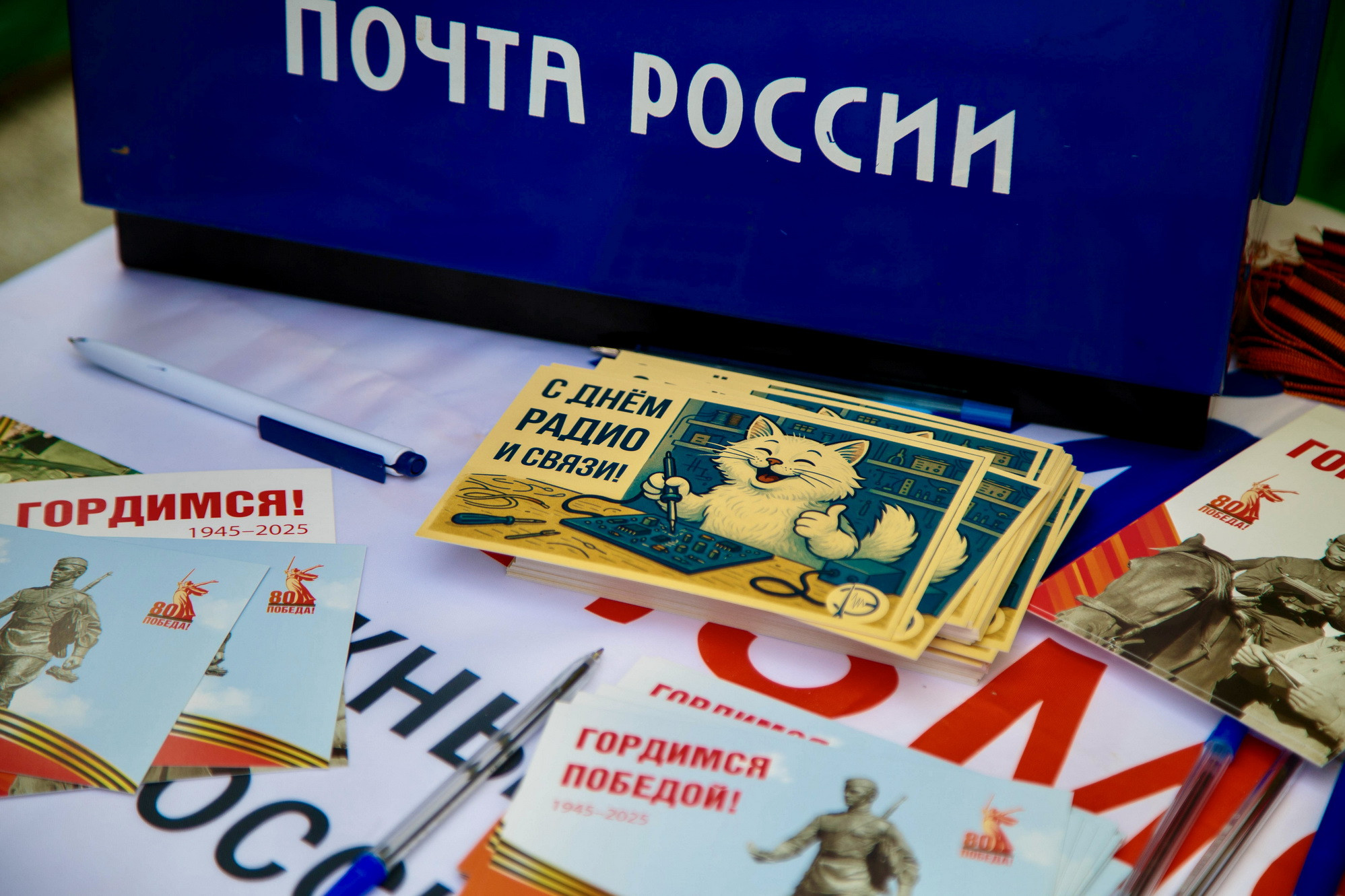 фотография: А. Непомнящих