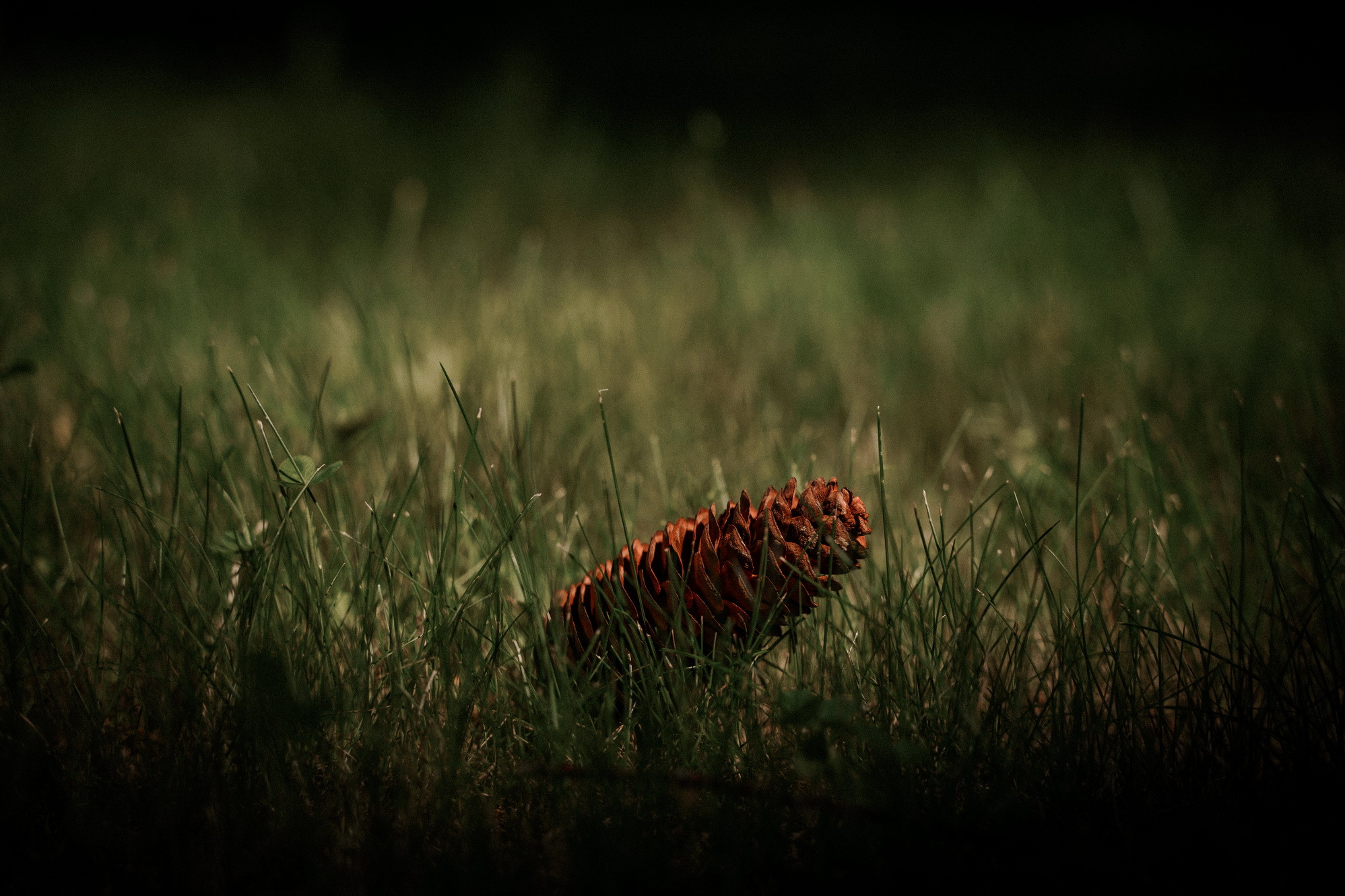 фотография: Д. Фоменков 