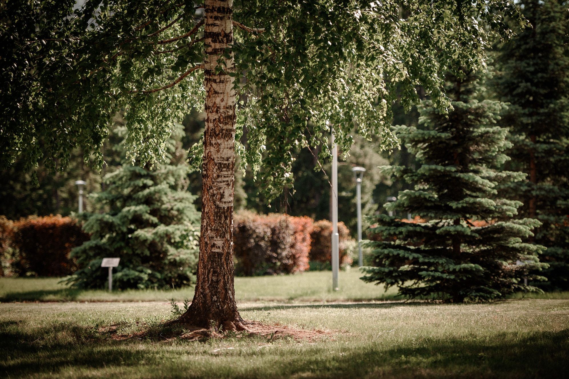 фотография: Д. Фоменков 