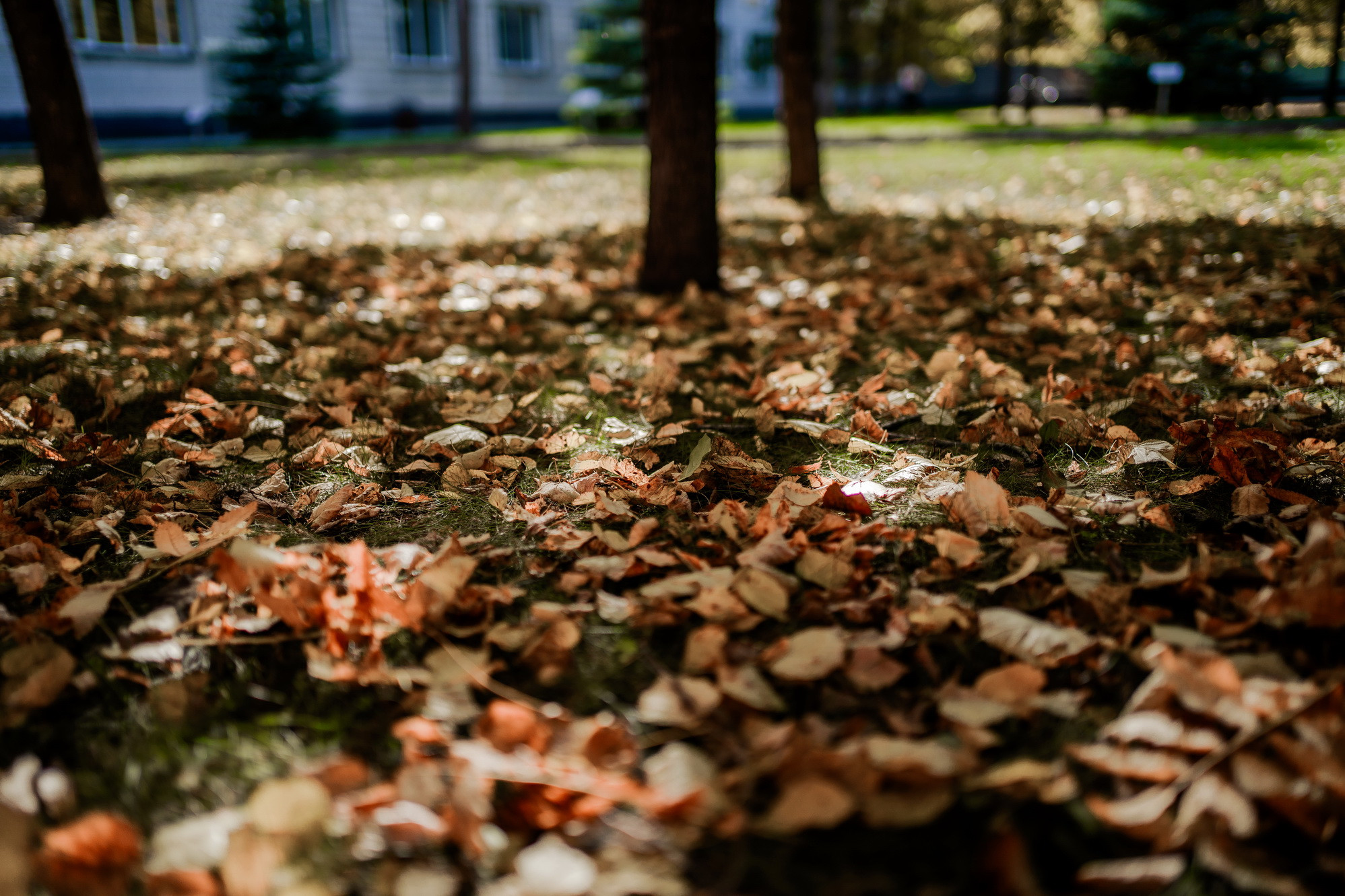 фотография: Д. Фоменков 