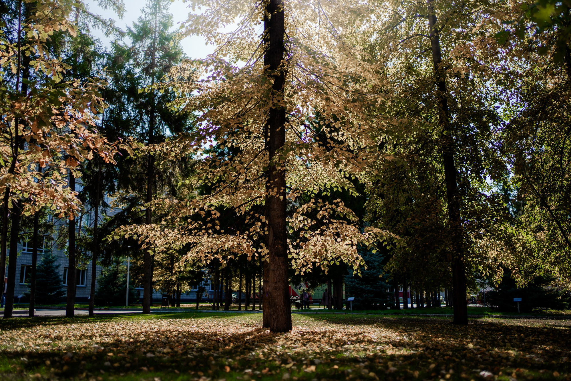 фотография: Д. Фоменков 