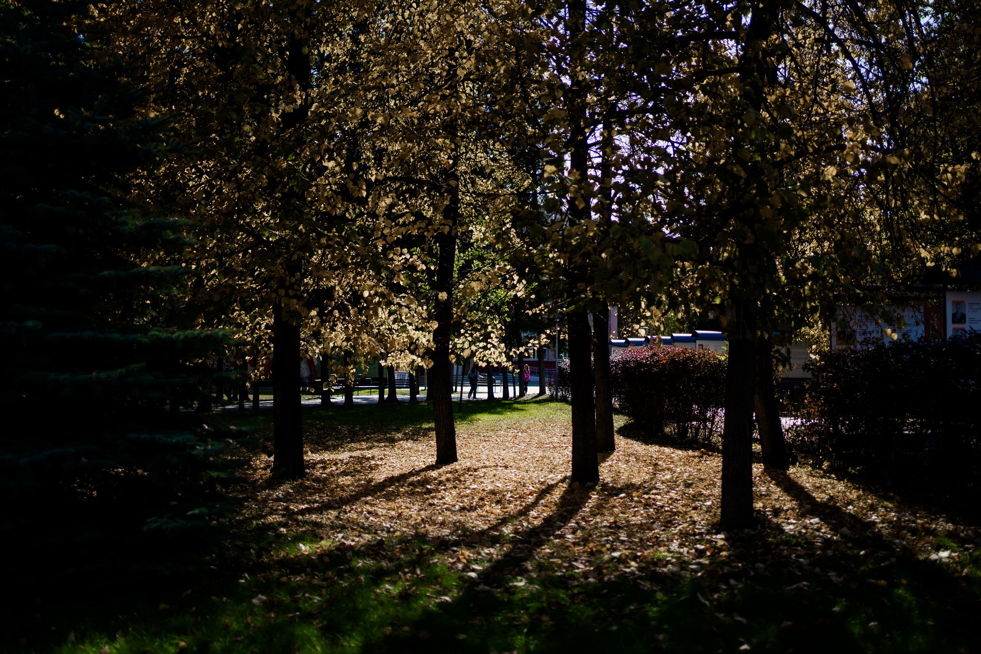 фотография: Д. Фоменков 