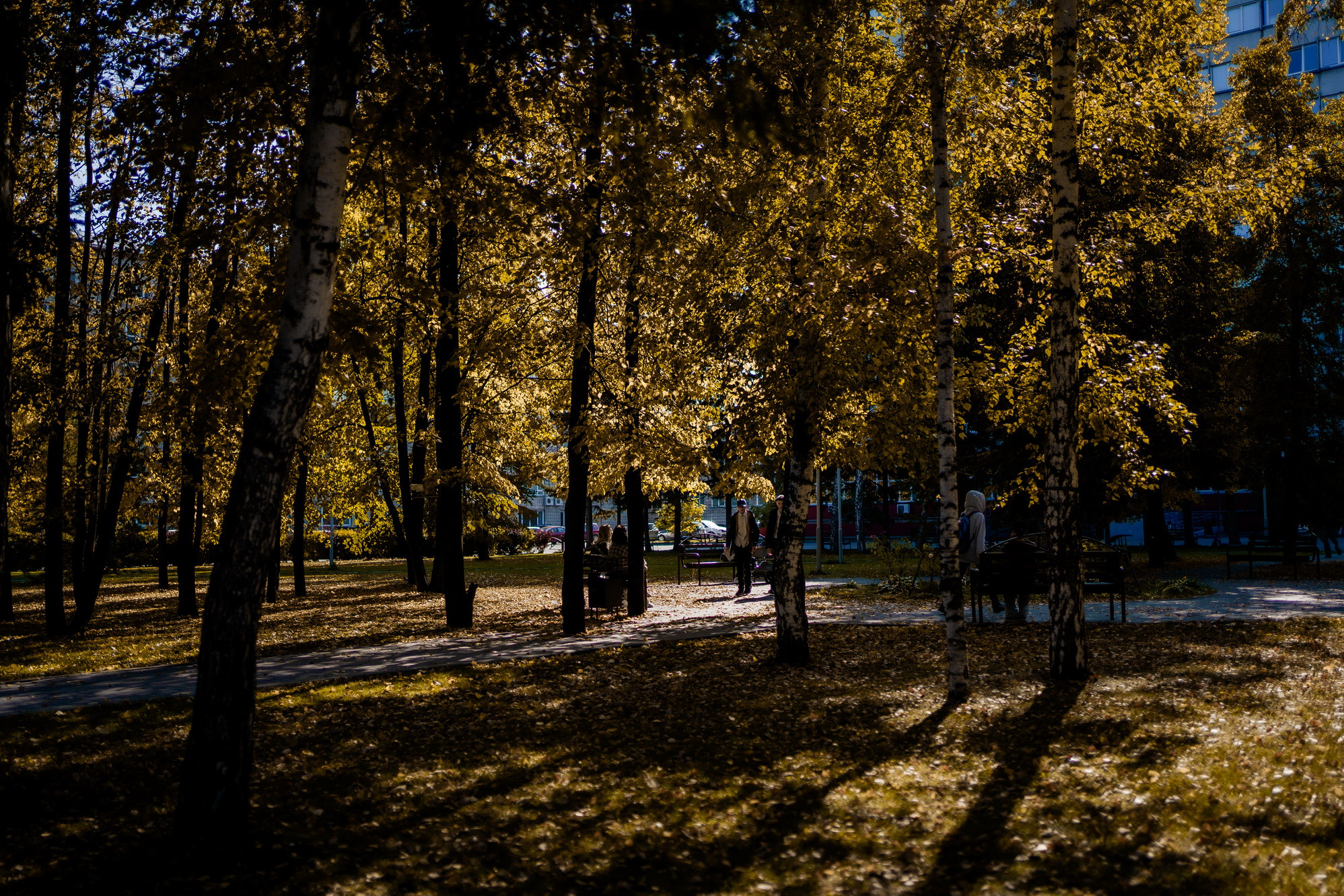 фотография: Д. Фоменков 