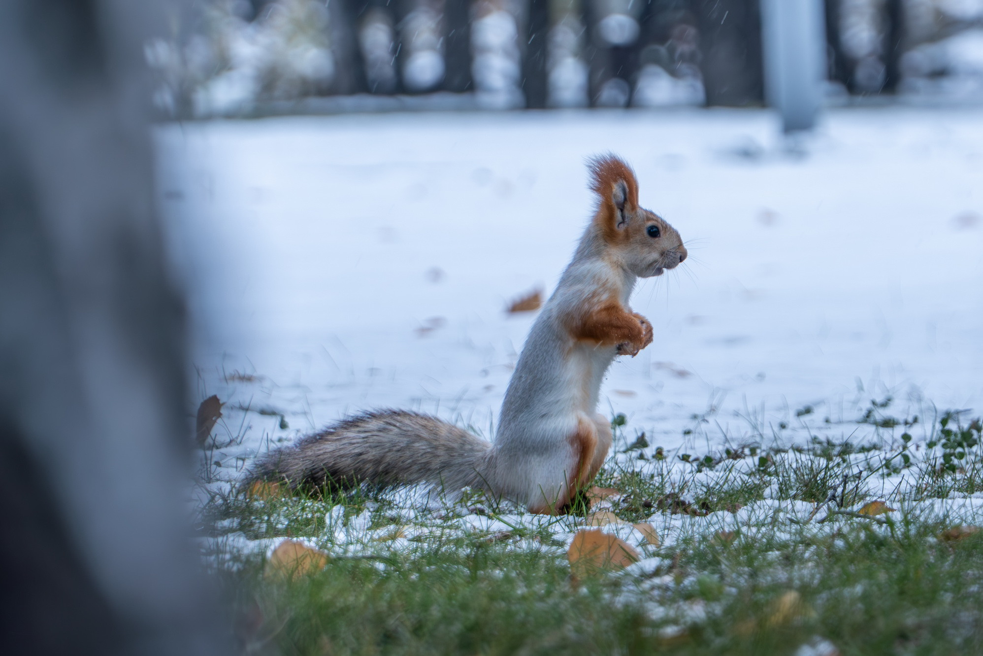 фотография: А. Непомнящих