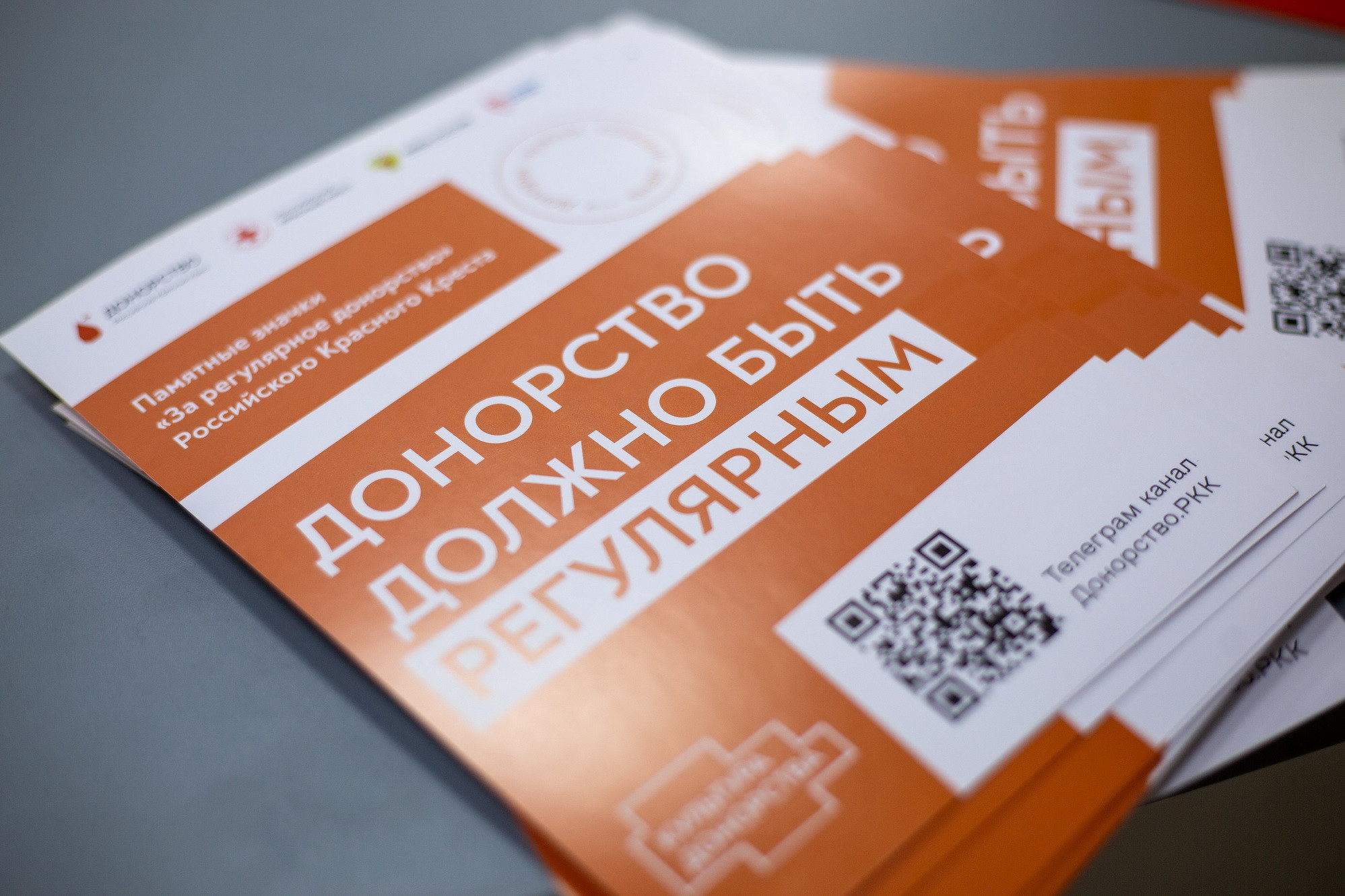 фотография: А. Непомнящих