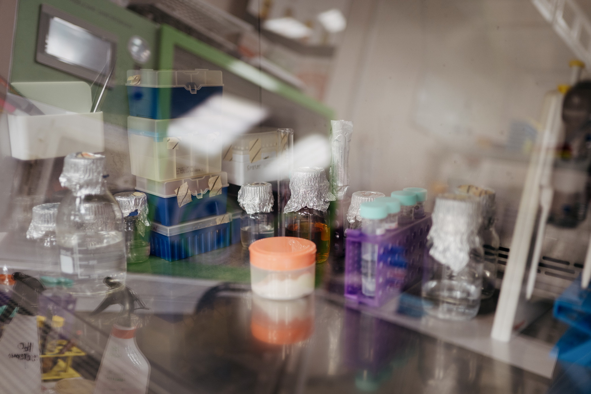 фотография: В. Гуськов