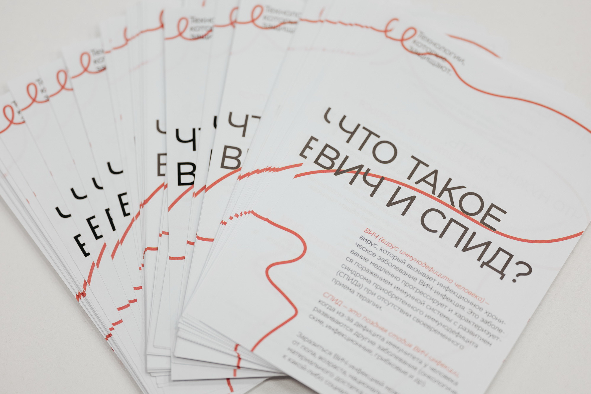 фотография: В. Гуськов