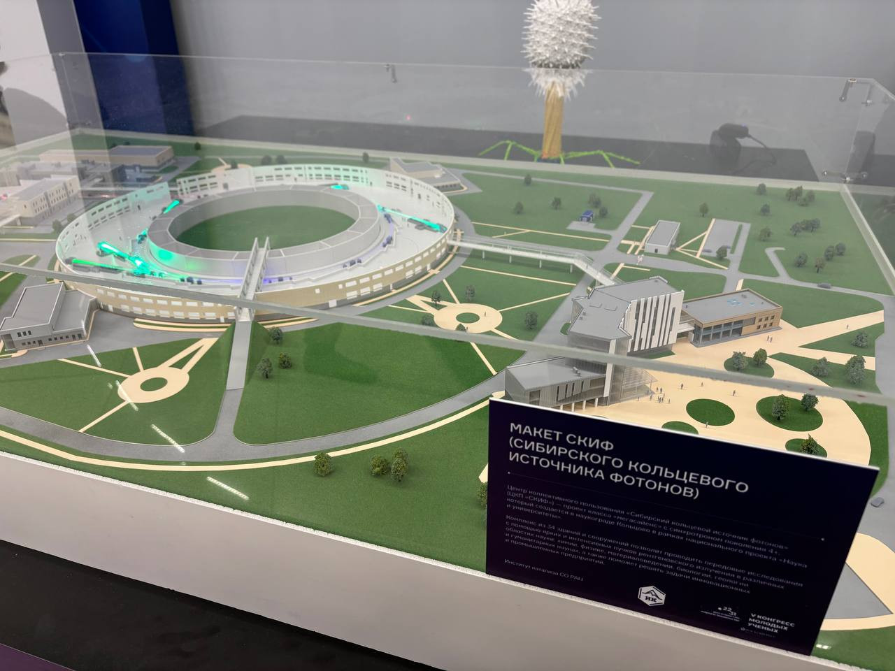 фотография: предоставлено А.И. Марченко