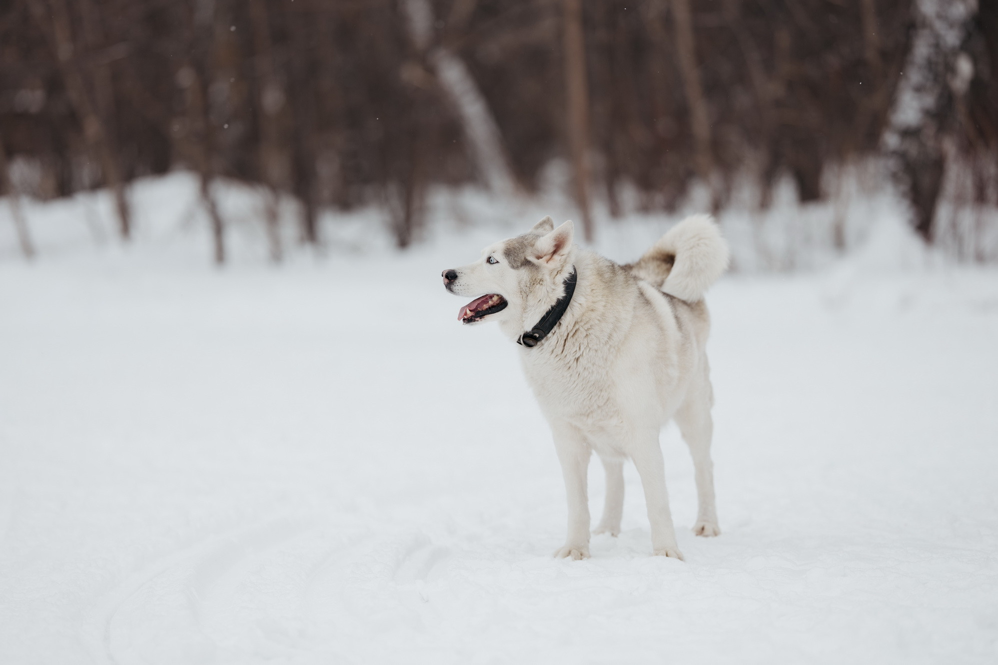 фотография: В. Гуськов