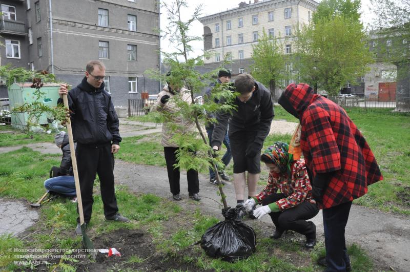 14.05.14     14 мая в студгородке НГТУ пройдет акция в рамках проекта «Парк имени меня», фотография: В. Кравченко