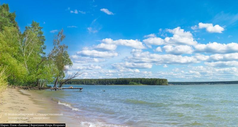 фотография: фото предоставлены Профсоюзным комитетом преподавателей и сотрудников