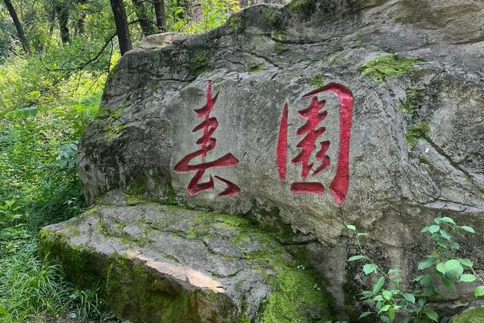 фотография: Предоставлено участниками стажировки