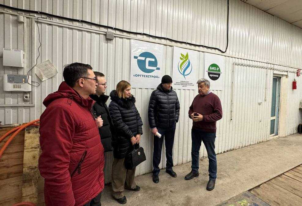 фотография: предоставлены разработчиками
