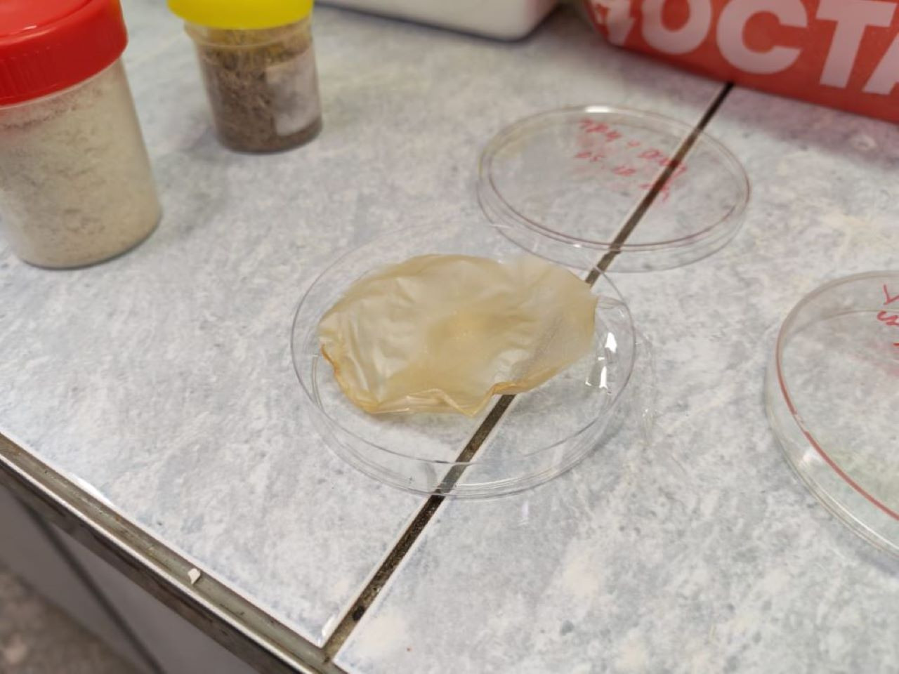 фотография: Анастасия Яковлева