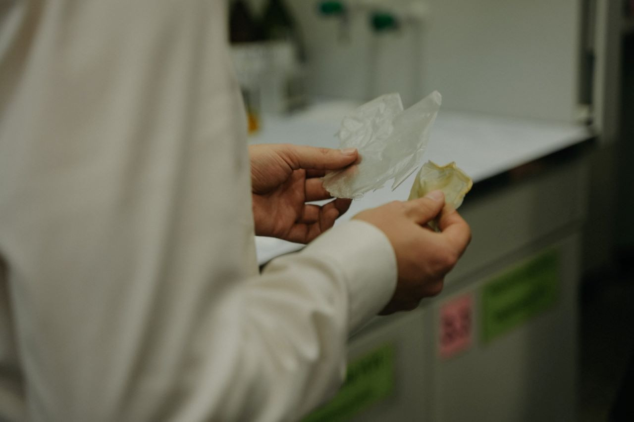 фотография: Анастасия Яковлева