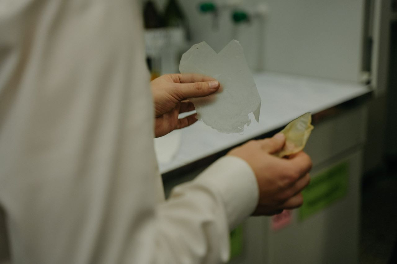 фотография: Анастасия Яковлева