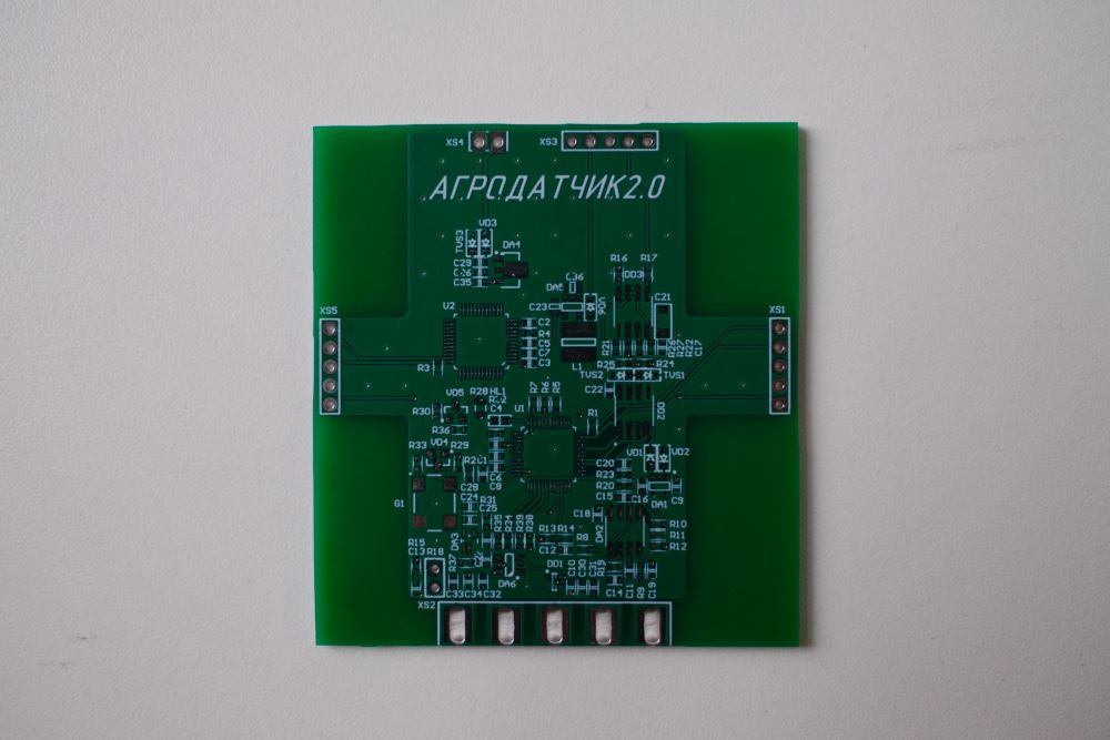 фотография: Виктор Гуськов