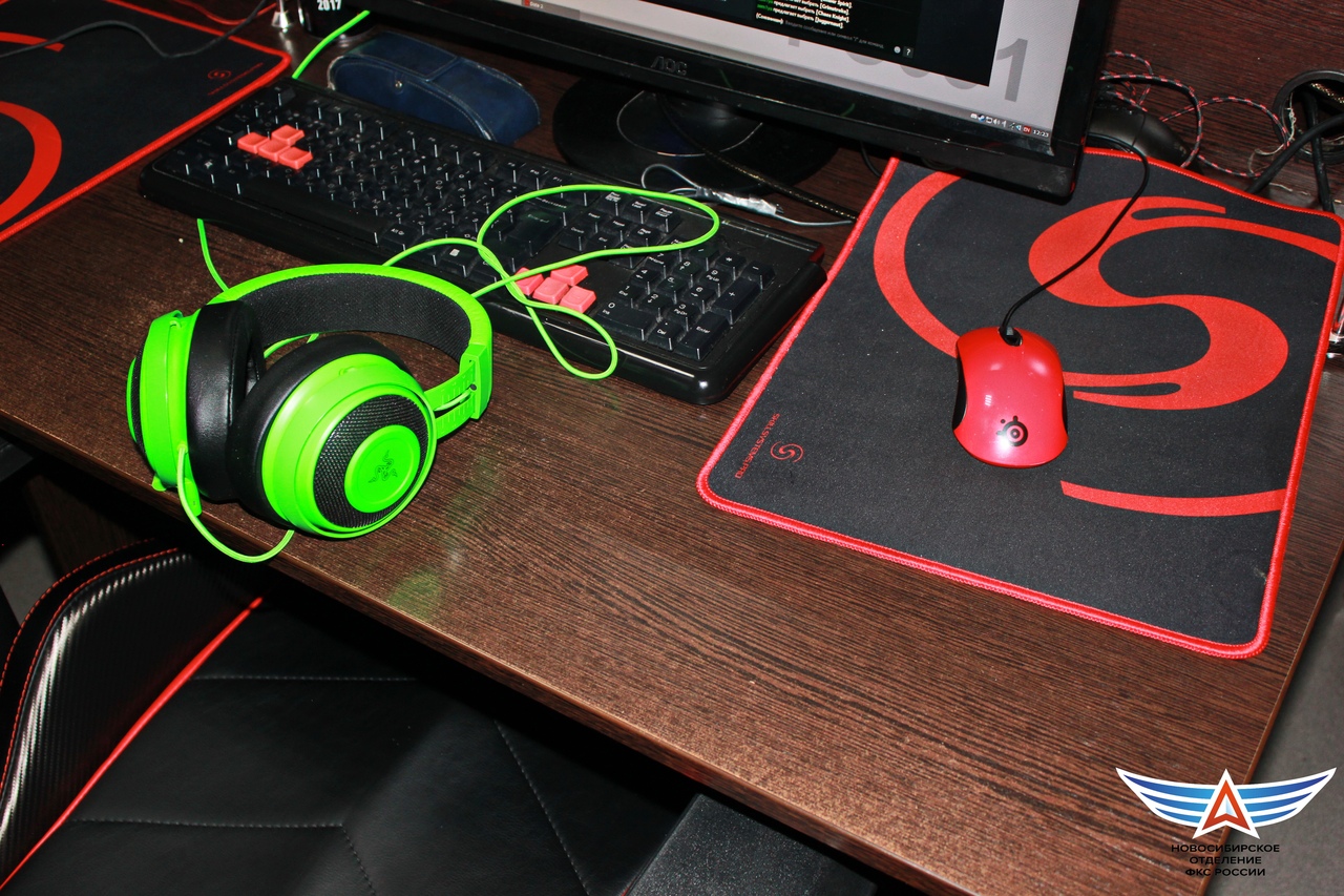 фотография: фото предоставлены командой киберспортивного клуба «NSTU.GAMING»